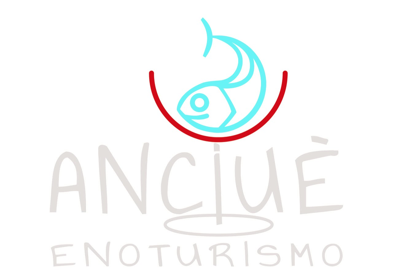 Enoturismo Anciué